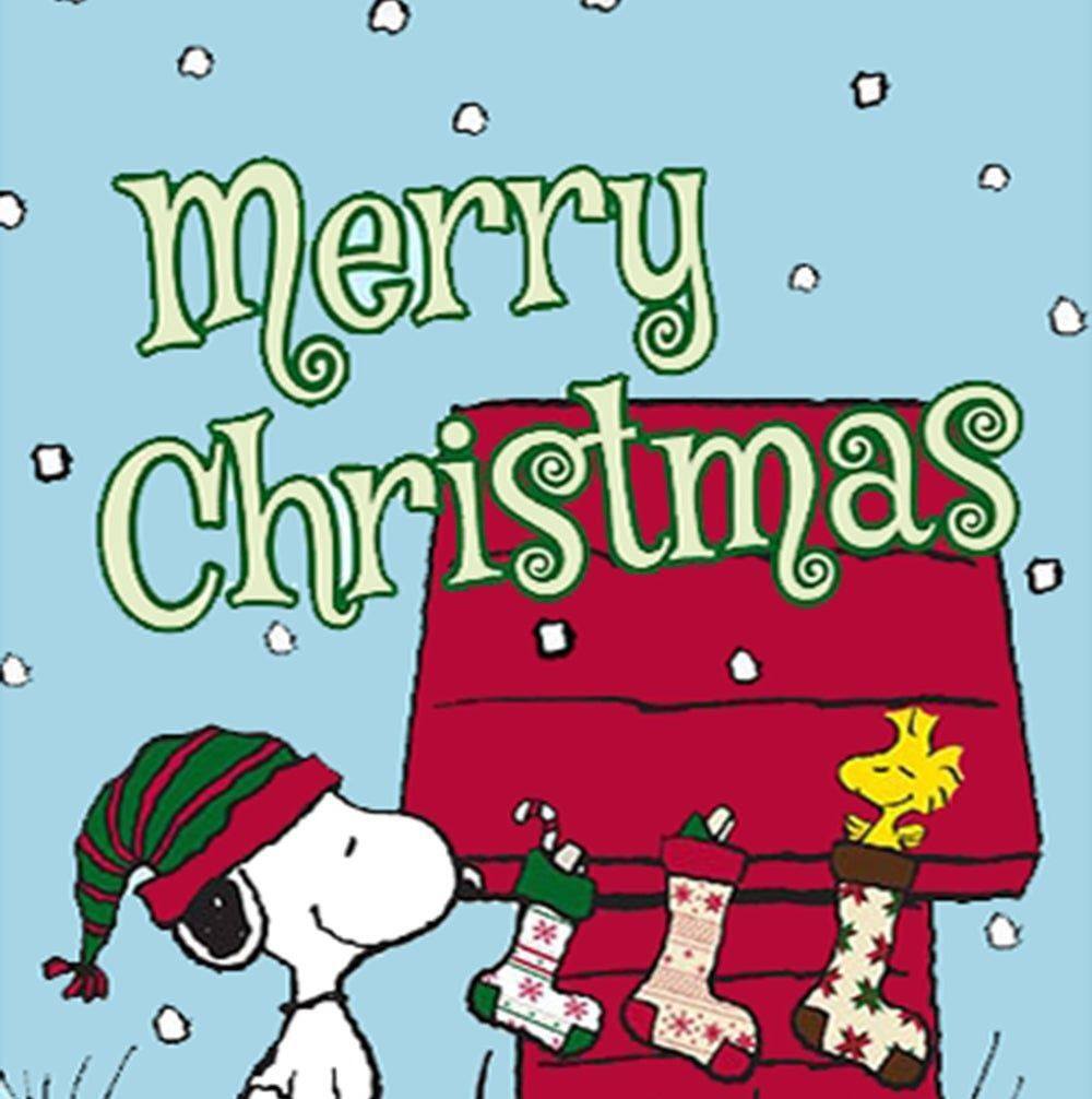 Meet your Posher, Lycinda